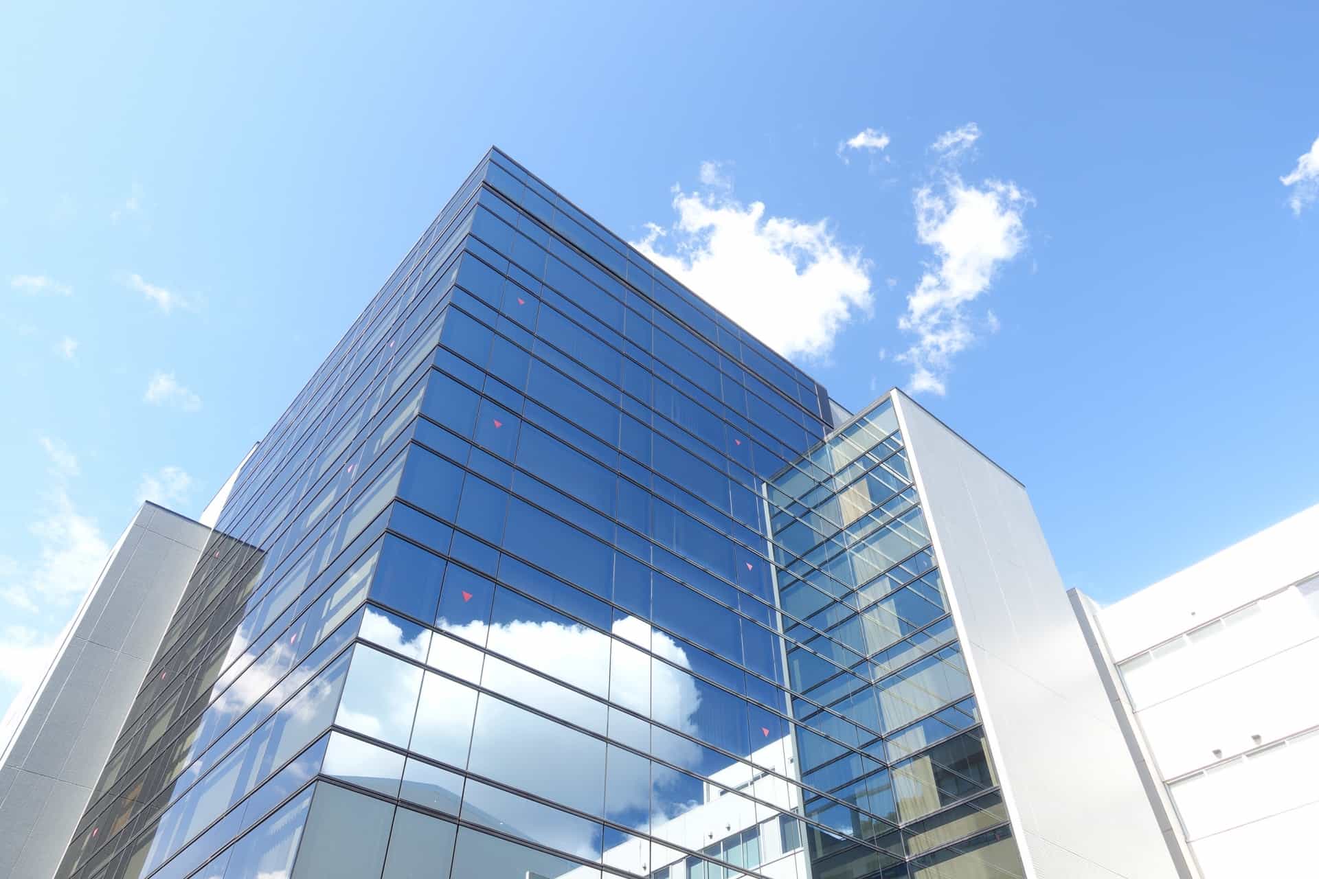 Beautiful blonde woman relaxing with a can of coke on a tree stump by the beach